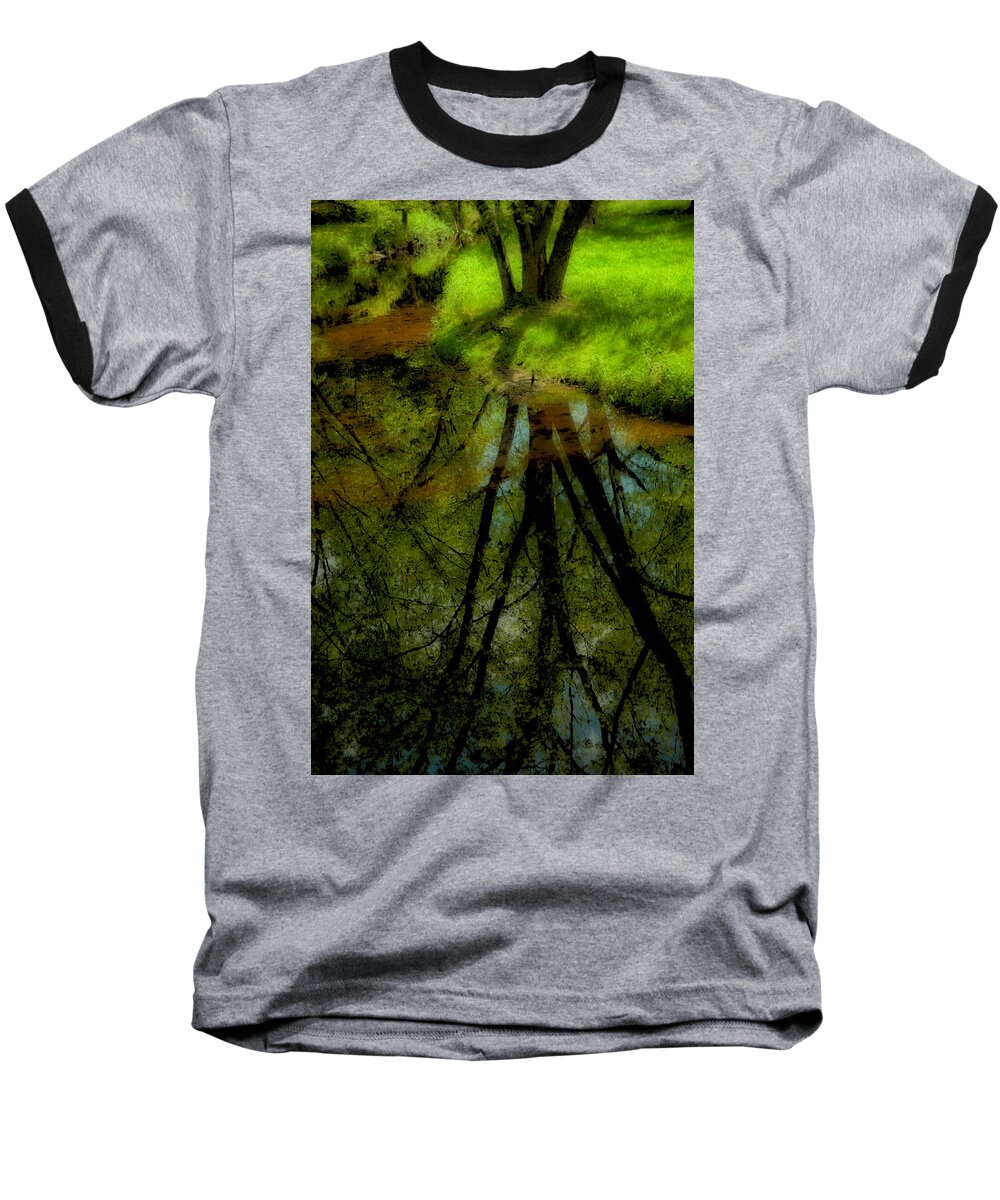 Tree Baseball T-Shirt featuring the photograph Branches of Life Reflects by Karol Livote