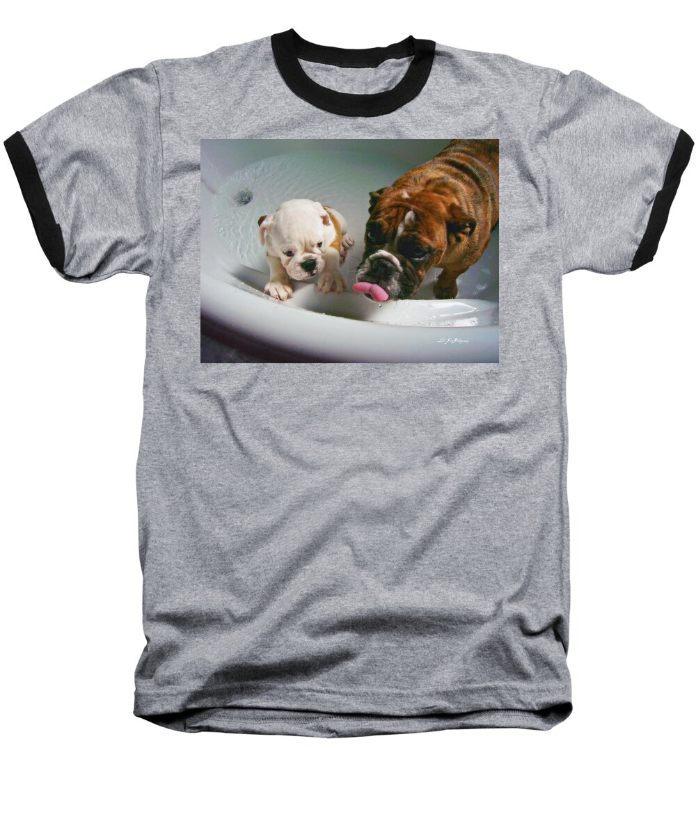 Bulldog Baseball T-Shirt featuring the photograph Bulldog Bath Time II by Jeanette C Landstrom