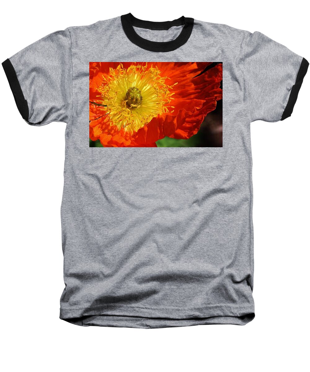 Flora Baseball T-Shirt featuring the photograph Bursting Peony by Bruce Bley
