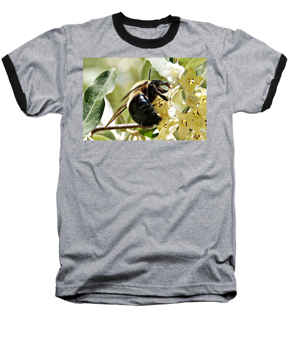 Busy Baseball T-Shirt featuring the photograph Busy as a Bee by Joe Faherty