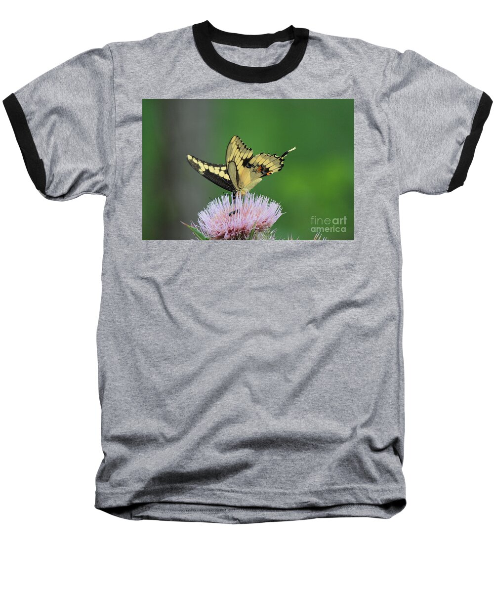 Butterfly Baseball T-Shirt featuring the photograph Butterflies Are Free by Kathy White