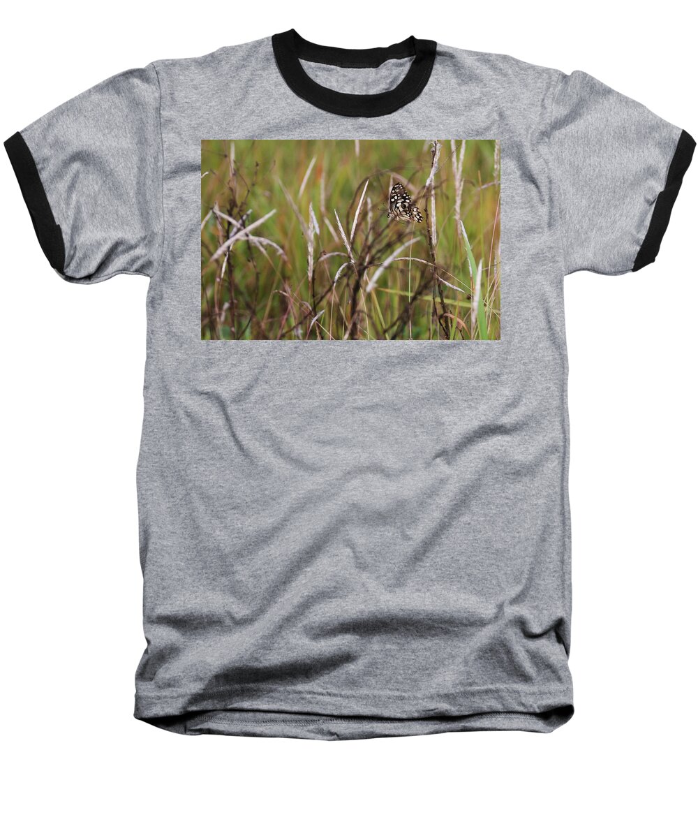 Butterfly Baseball T-Shirt featuring the photograph Butterfly in flight by Fotosas Photography