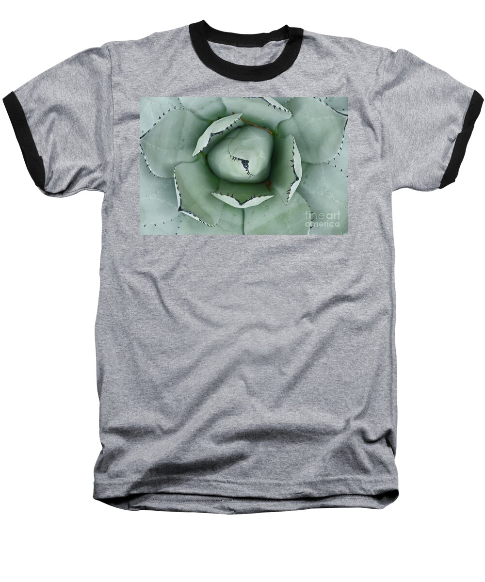 Cactus Baseball T-Shirt featuring the photograph Cactus 1 by Cassie Marie Photography