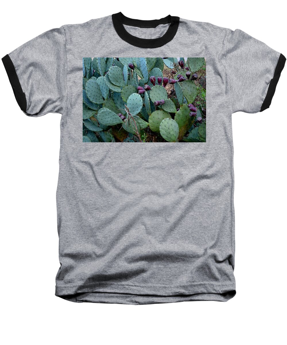 Cactus Baseball T-Shirt featuring the photograph Cactus Plants by Maria Urso