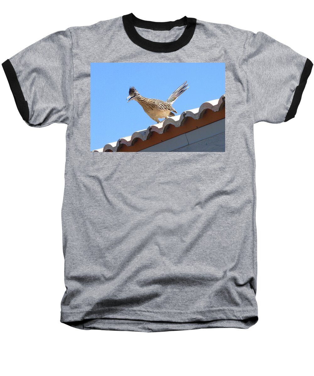 Roadrunner Baseball T-Shirt featuring the photograph California Roadrunner by Carla Parris