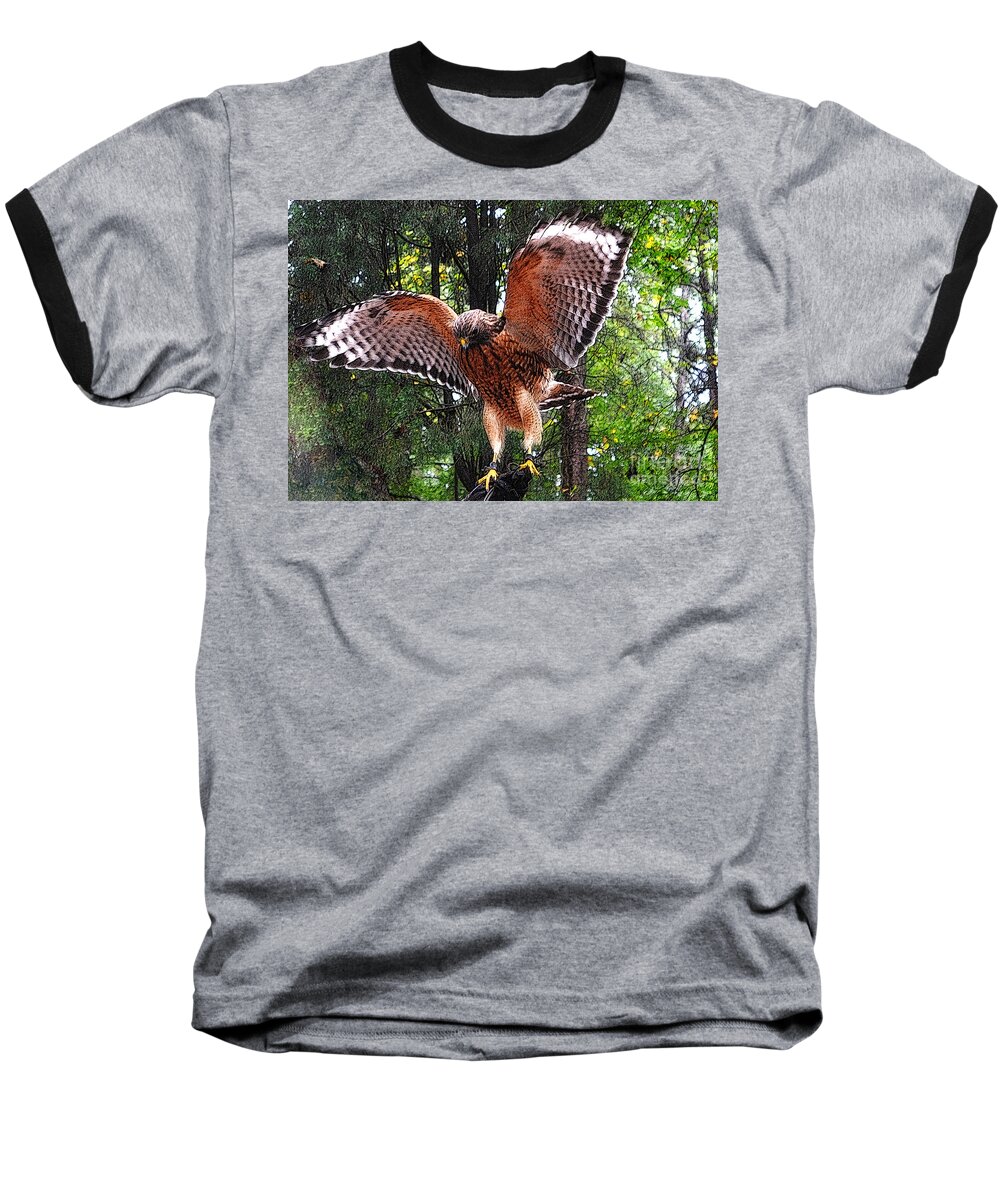 Red -tailed Hawk Baseball T-Shirt featuring the photograph Captivity by Lydia Holly