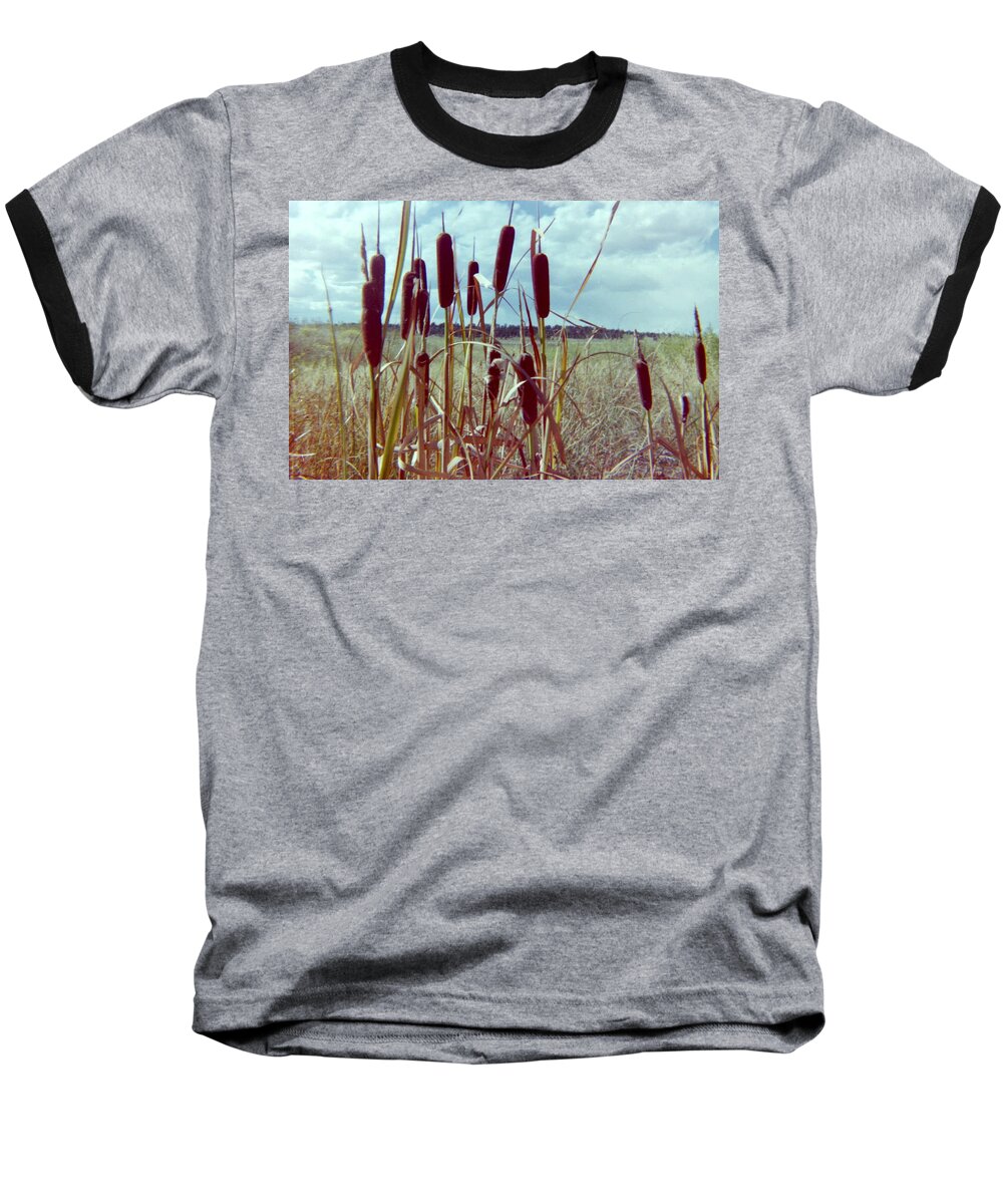 Cattails Baseball T-Shirt featuring the photograph Cat Tails by Bonfire Photography
