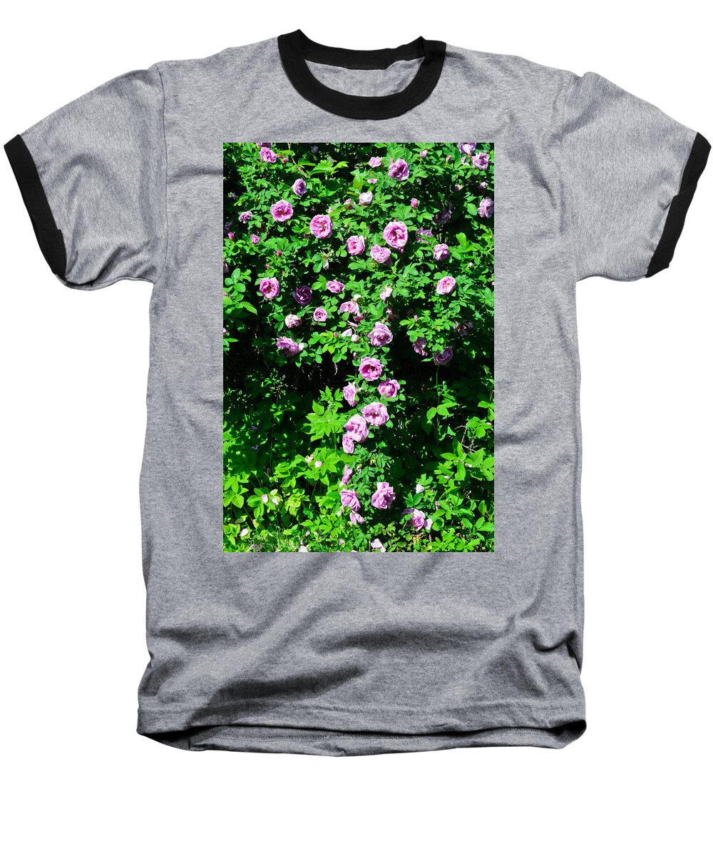 Nature Baseball T-Shirt featuring the photograph China Rose by Michael Goyberg