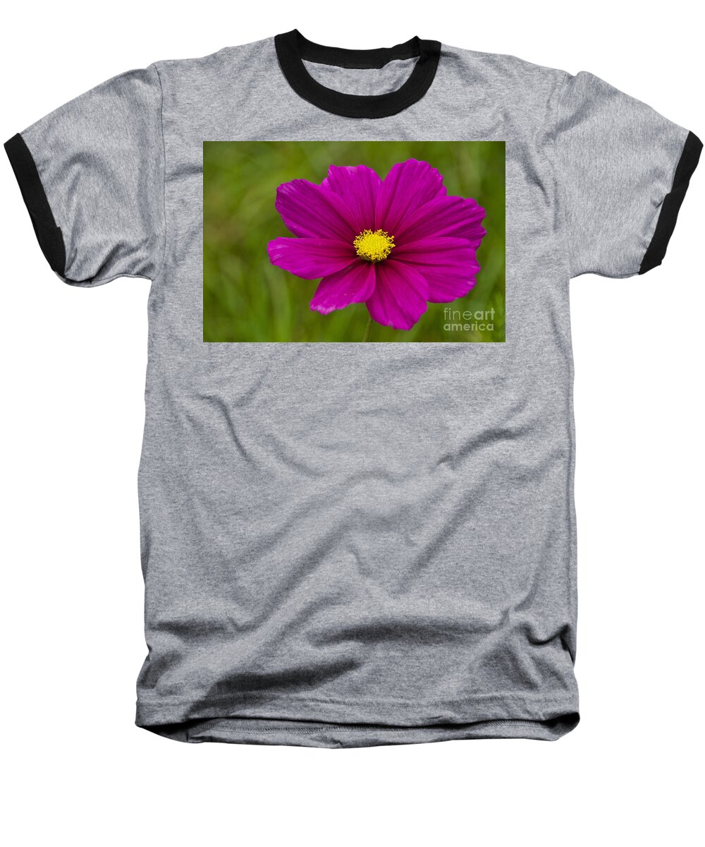 Photography Baseball T-Shirt featuring the photograph Cosmos by Sean Griffin