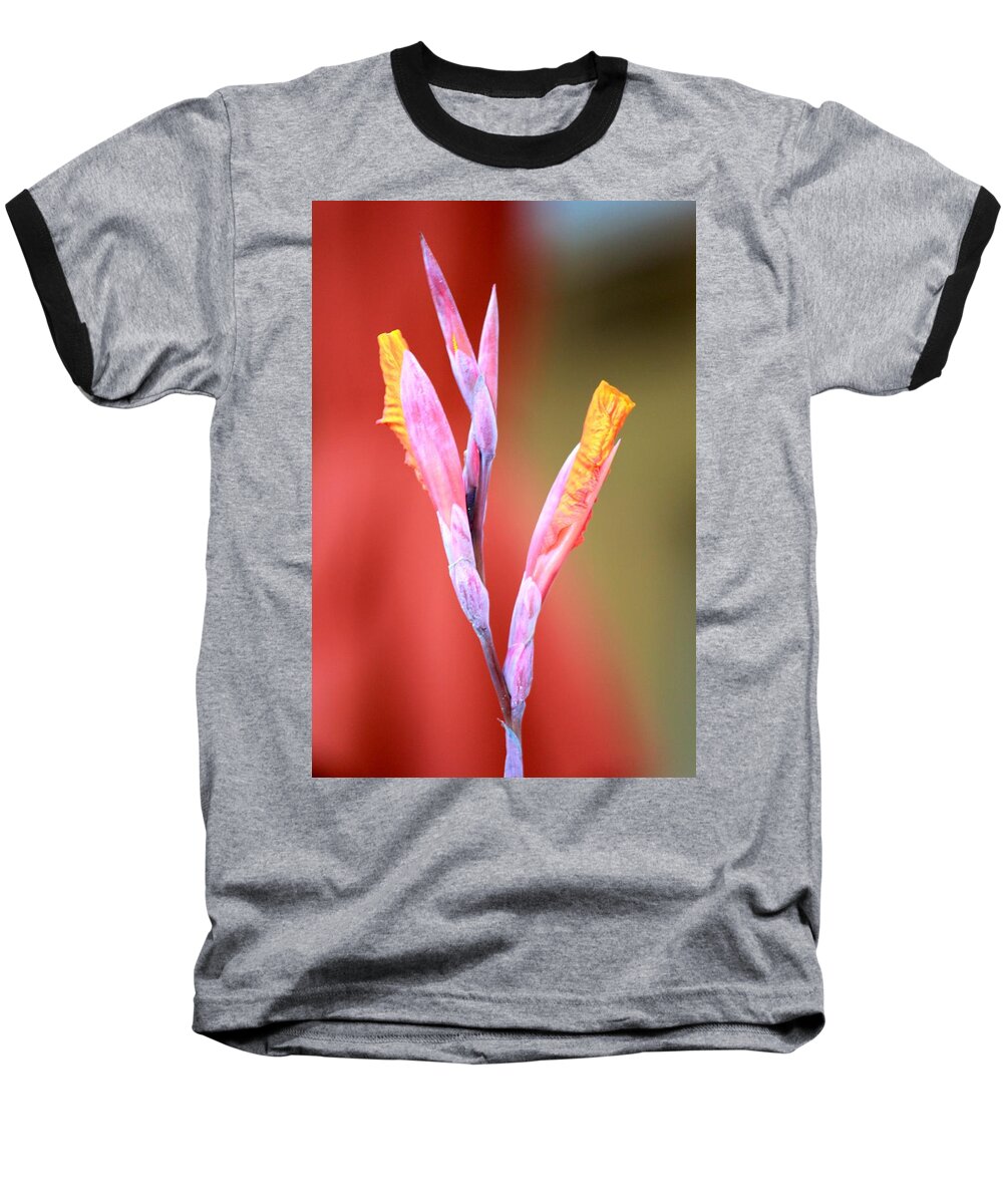 Orange Canna Lily Baseball T-Shirt featuring the photograph Cusp of Emergence by Leigh Meredith