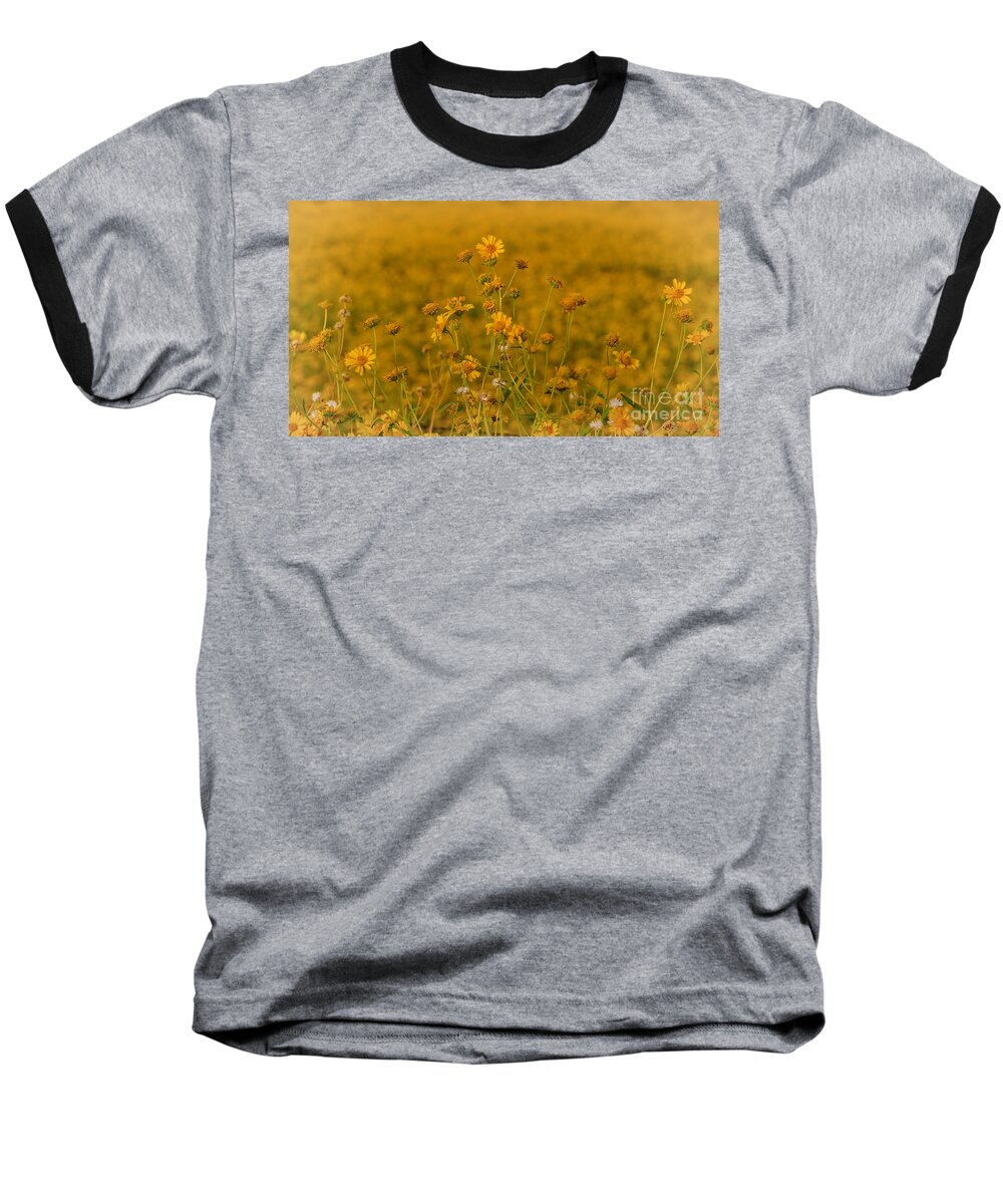 Flower Baseball T-Shirt featuring the photograph Daisy's by Donna Greene