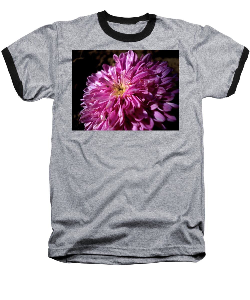 Flower Baseball T-Shirt featuring the photograph Dawn Flower by Sumit Mehndiratta