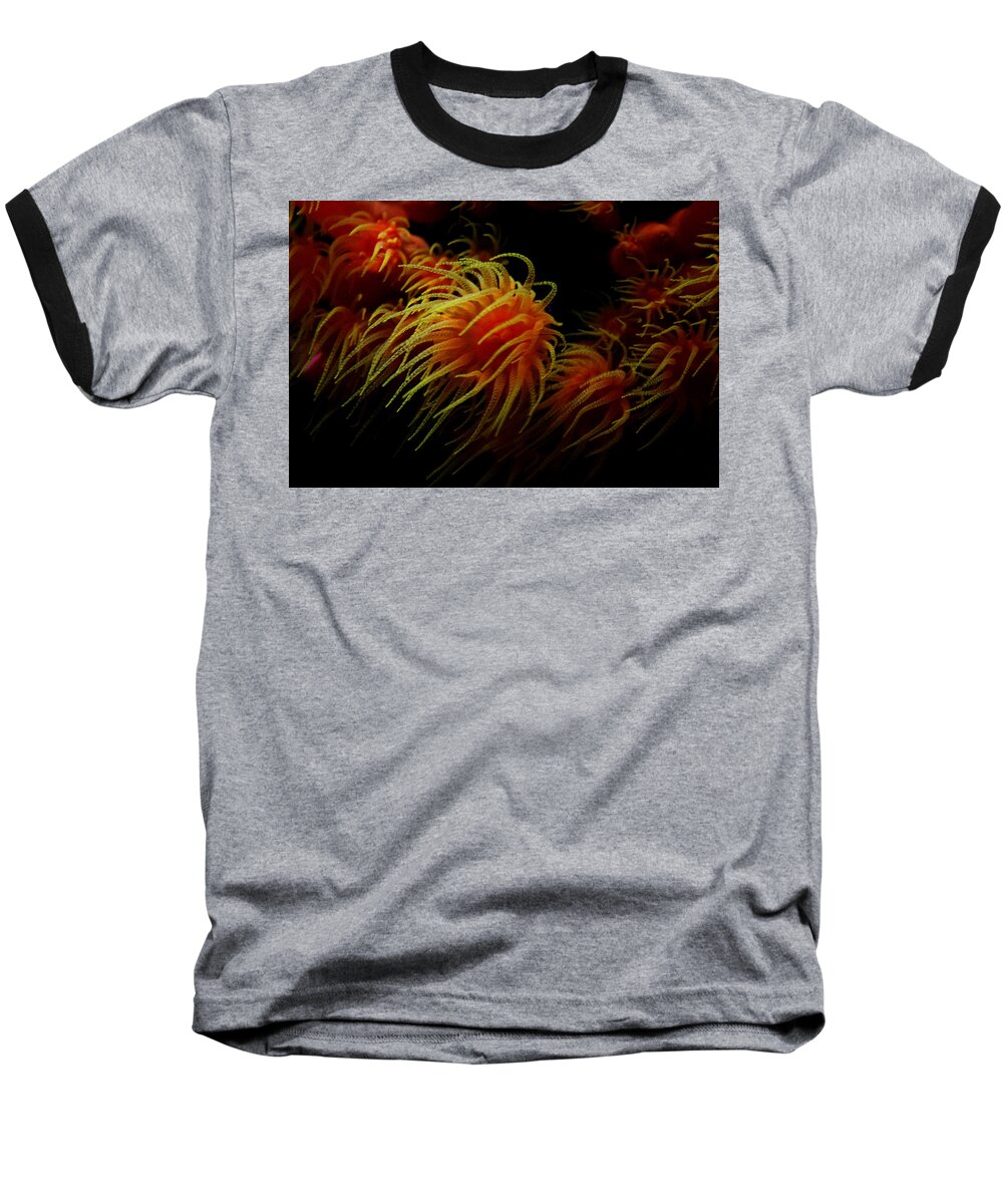Jennifer Bright Art Baseball T-Shirt featuring the photograph Deep Ocean Coral Polyp by Jennifer Bright Burr