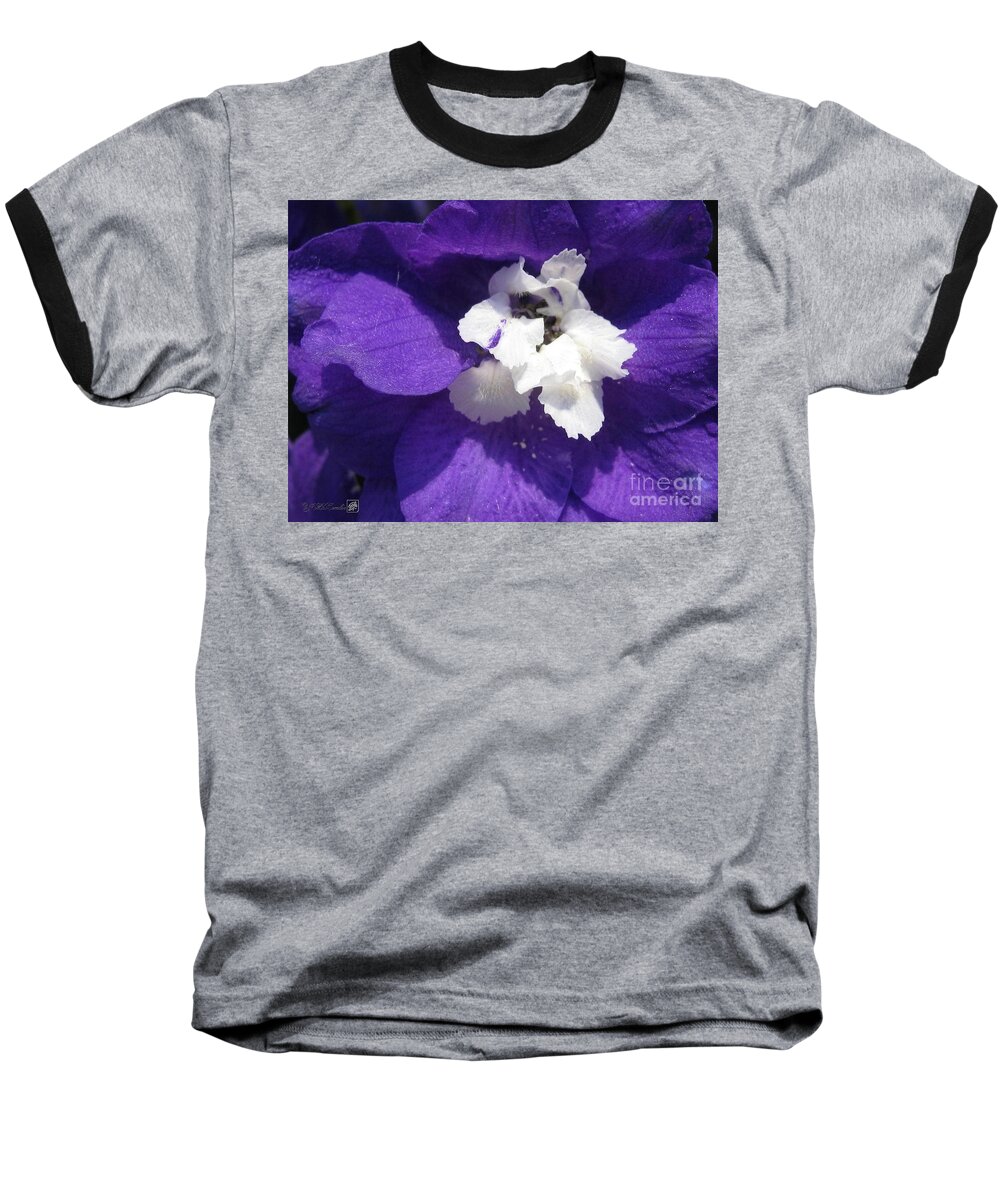 Delphinium Baseball T-Shirt featuring the photograph Delphinium named Blue with White Bee by J McCombie