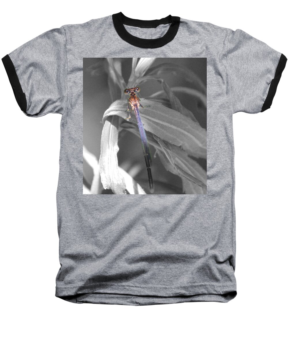 Dragonfly Baseball T-Shirt featuring the photograph Dragonfly BW with Color by Peter Ciro