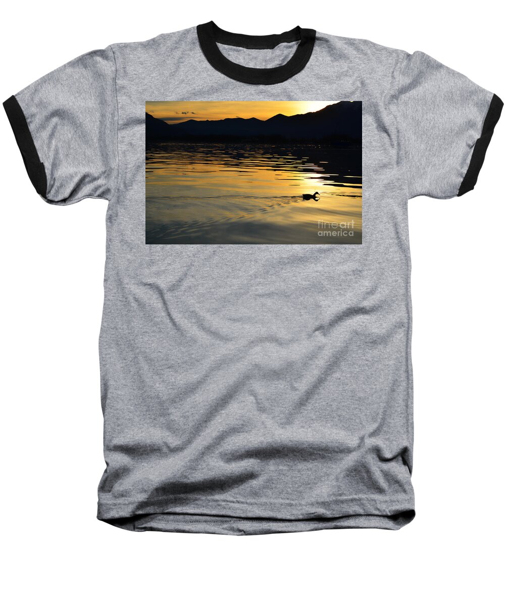 Duck Baseball T-Shirt featuring the photograph Duck swimming by Mats Silvan