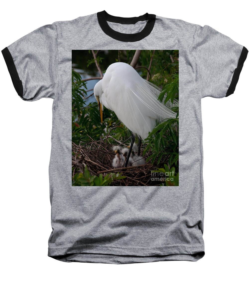 Egret Baseball T-Shirt featuring the photograph Egret with Chicks by Art Whitton