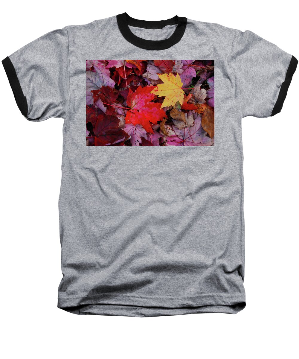 Tree Baseball T-Shirt featuring the photograph Fall by Guy Whiteley