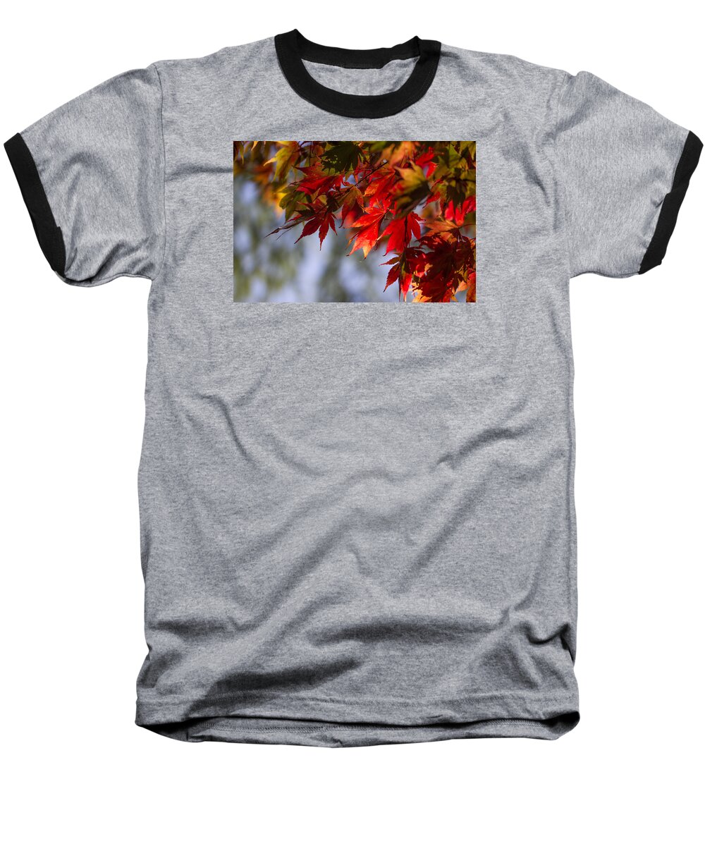Japanese Baseball T-Shirt featuring the photograph Fall Leaves Glowing Like Flames. by Clare Bambers