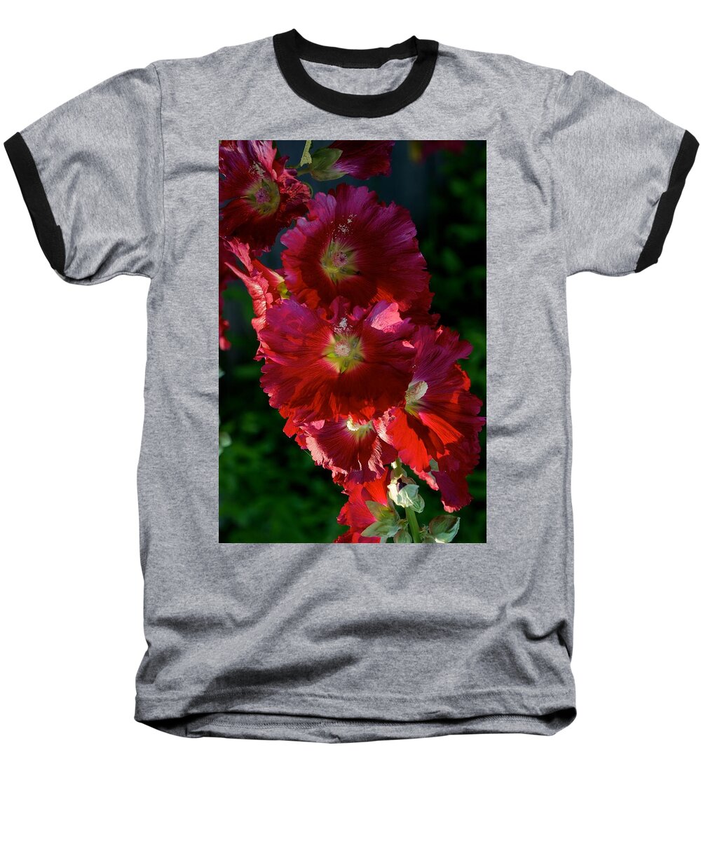 Flower Baseball T-Shirt featuring the photograph Fertile by Joseph Yarbrough