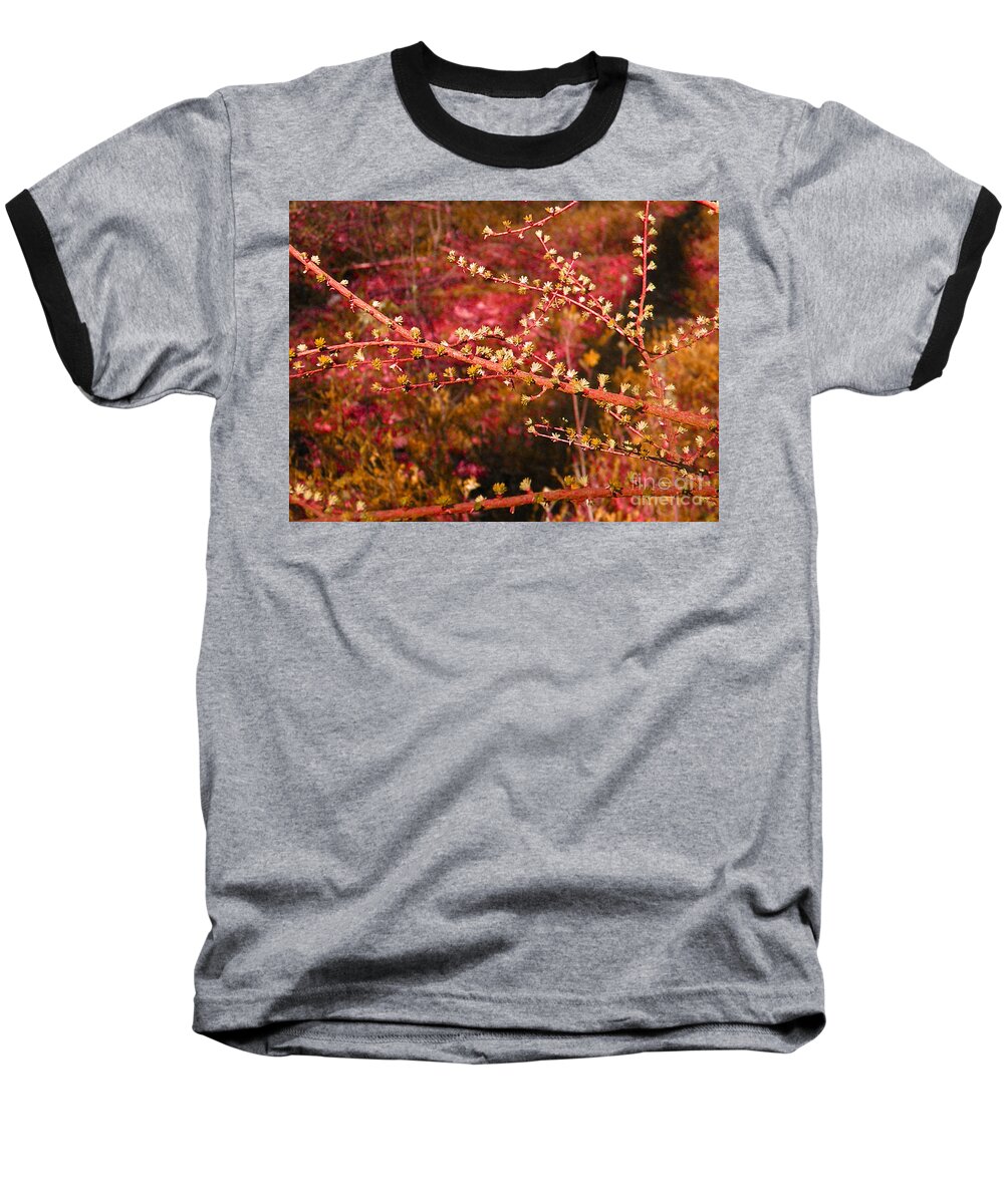 Tree Baseball T-Shirt featuring the photograph forest - Red branch by Go Van Kampen