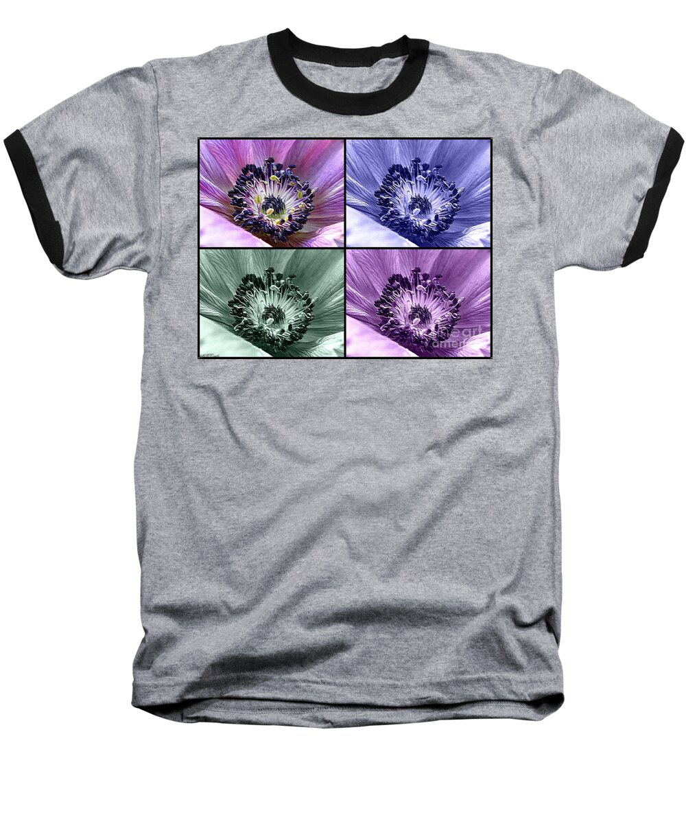Anemone Baseball T-Shirt featuring the photograph Four Colours of Anemone by J McCombie