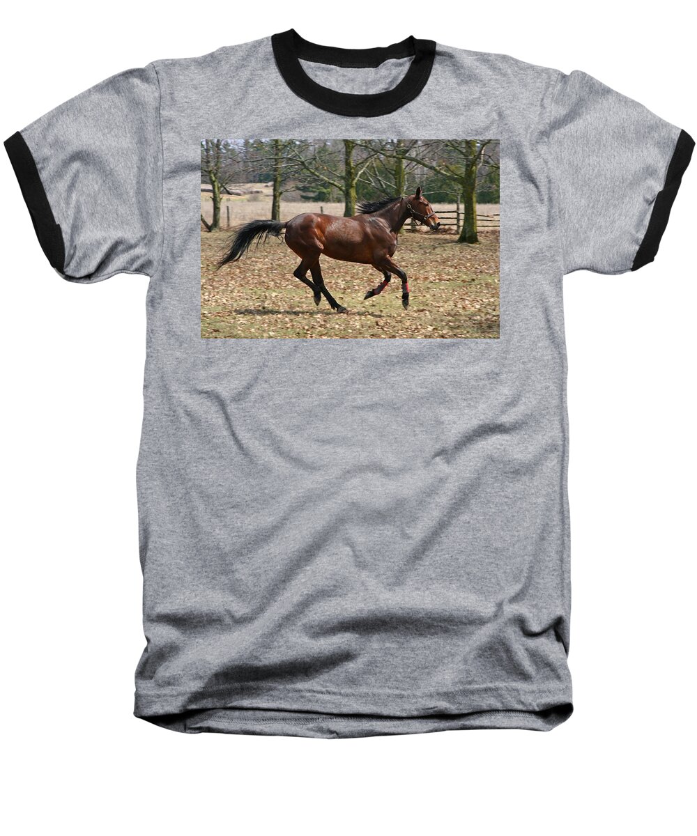 Horses Baseball T-Shirt featuring the photograph Free Spirit by Davandra Cribbie