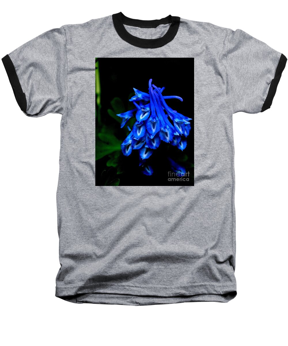 Corydalis Baseball T-Shirt featuring the photograph Garden Jewel by Tatyana Searcy