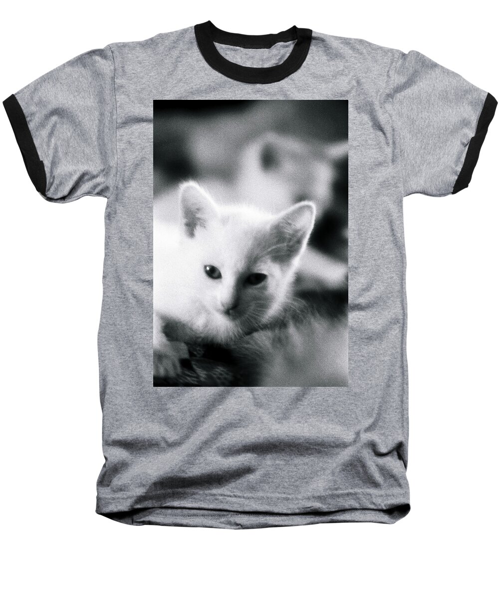 Cat Baseball T-Shirt featuring the photograph Ghost Kitties by Rory Siegel