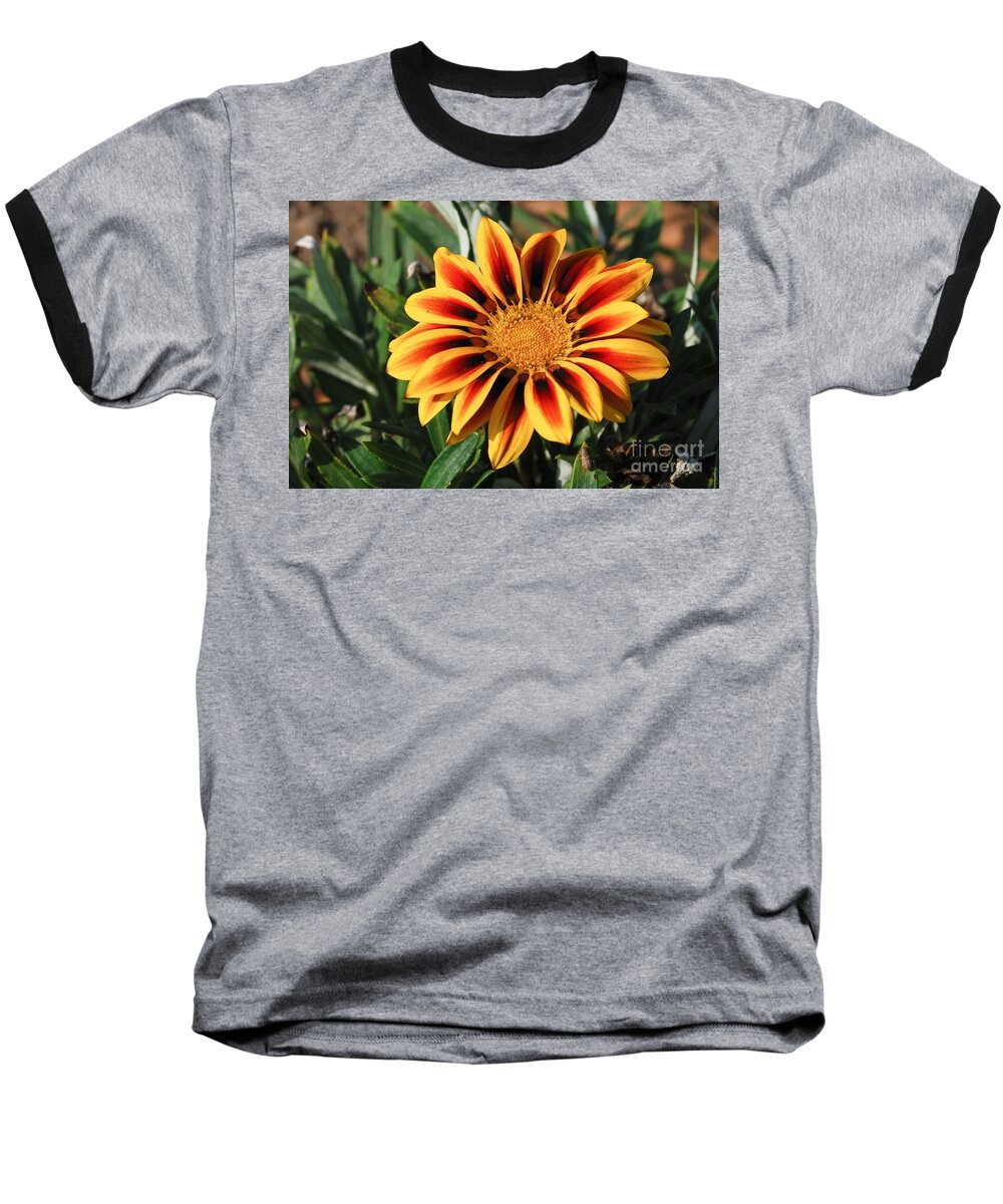 Orange Baseball T-Shirt featuring the photograph Gorgeous Beauty by Fotosas Photography
