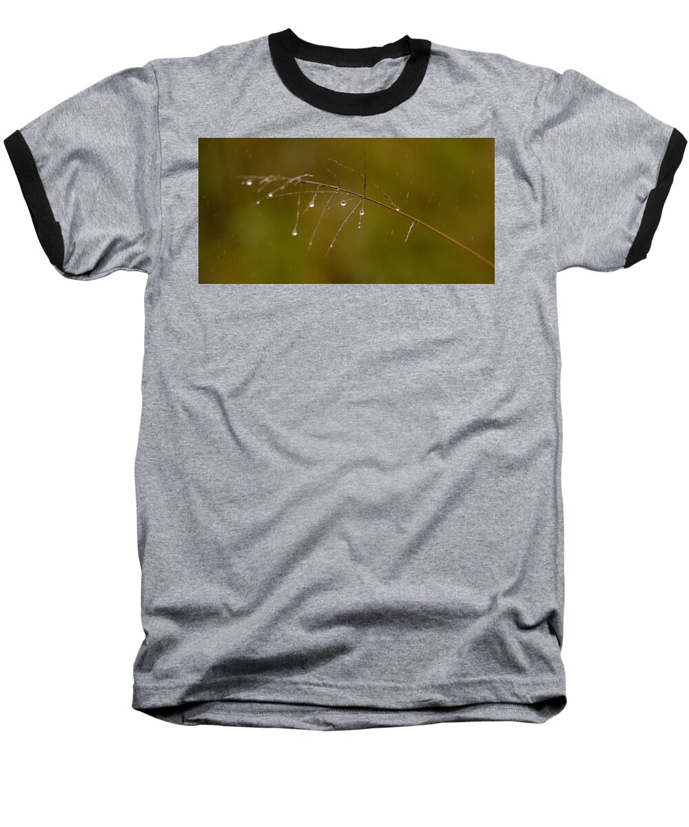 Africa Baseball T-Shirt featuring the photograph Grassdrops by Alistair Lyne