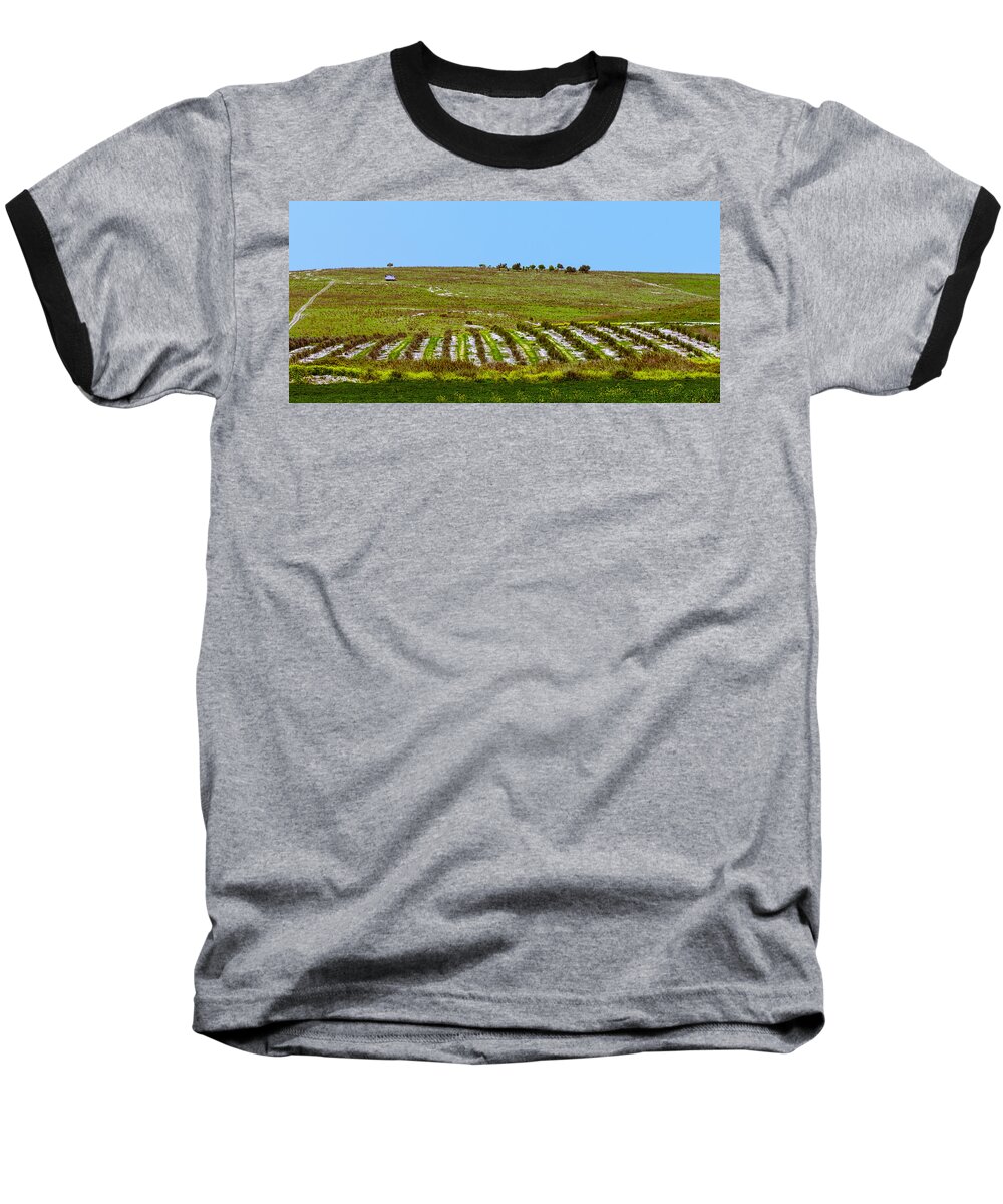 Agriculture Baseball T-Shirt featuring the photograph Green hills by Michael Goyberg