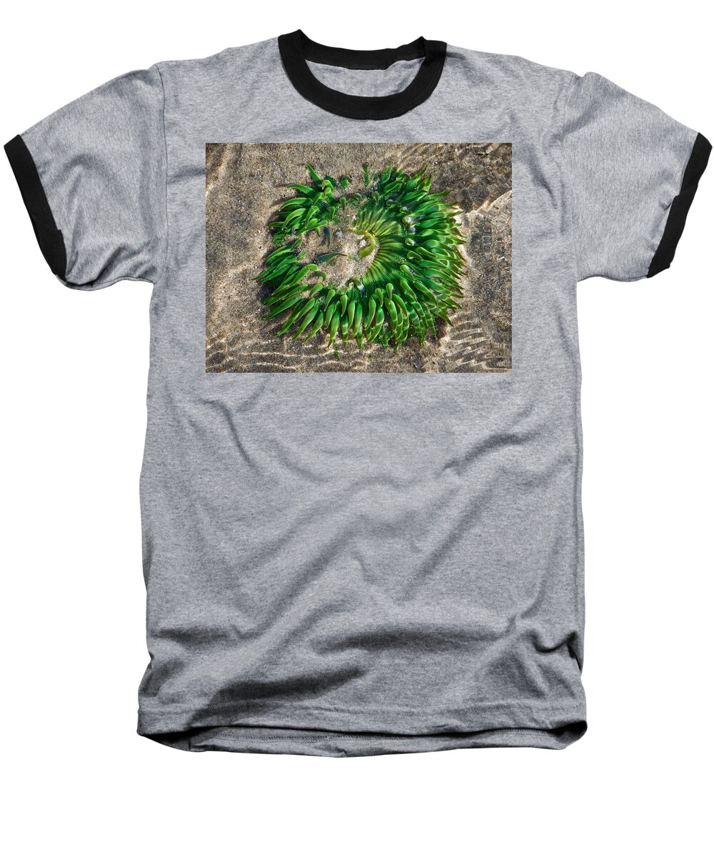 Sea Baseball T-Shirt featuring the photograph Green Sea Anemone by Diana Hatcher