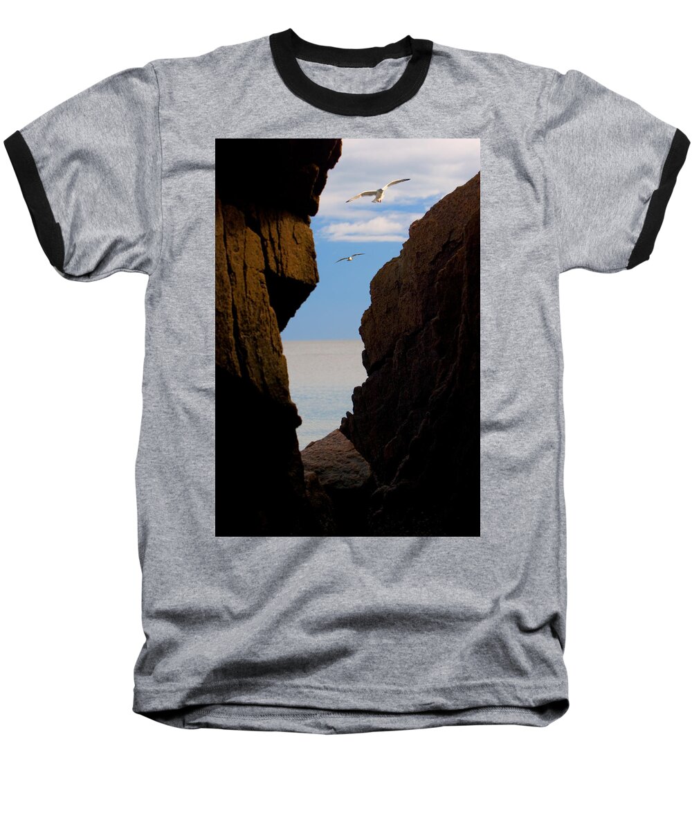 Seagull Baseball T-Shirt featuring the photograph Gulls of Acadia by Brent L Ander