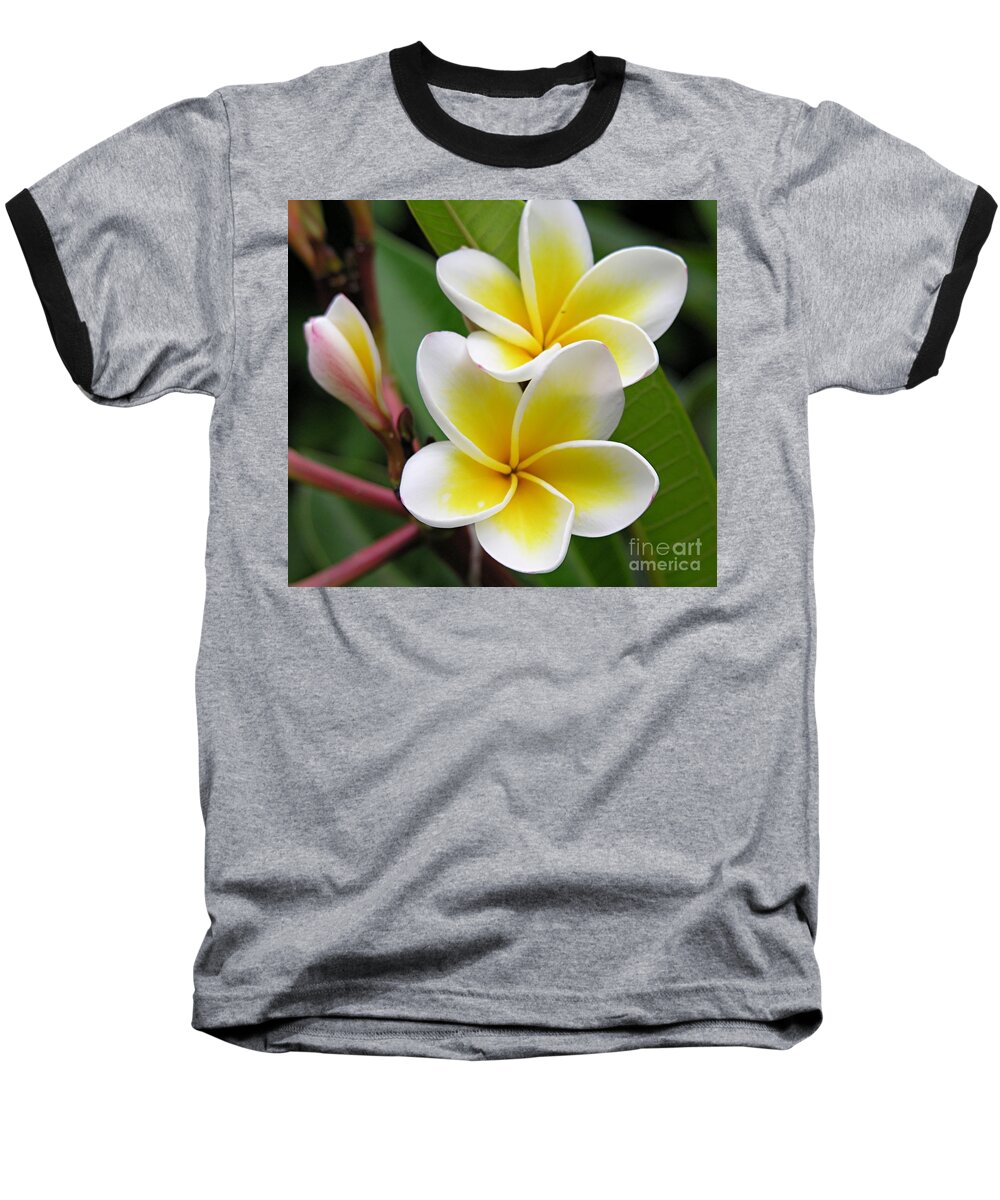 Kauai Baseball T-Shirt featuring the photograph Hawaii by Diane Lesser
