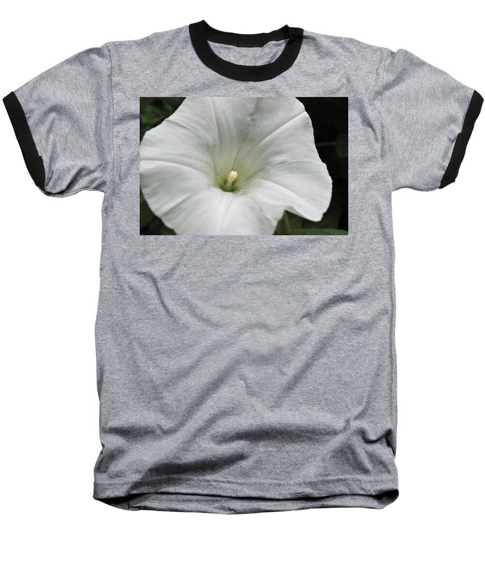 Floral Baseball T-Shirt featuring the photograph Hedge Morning Glory by Tikvah's Hope