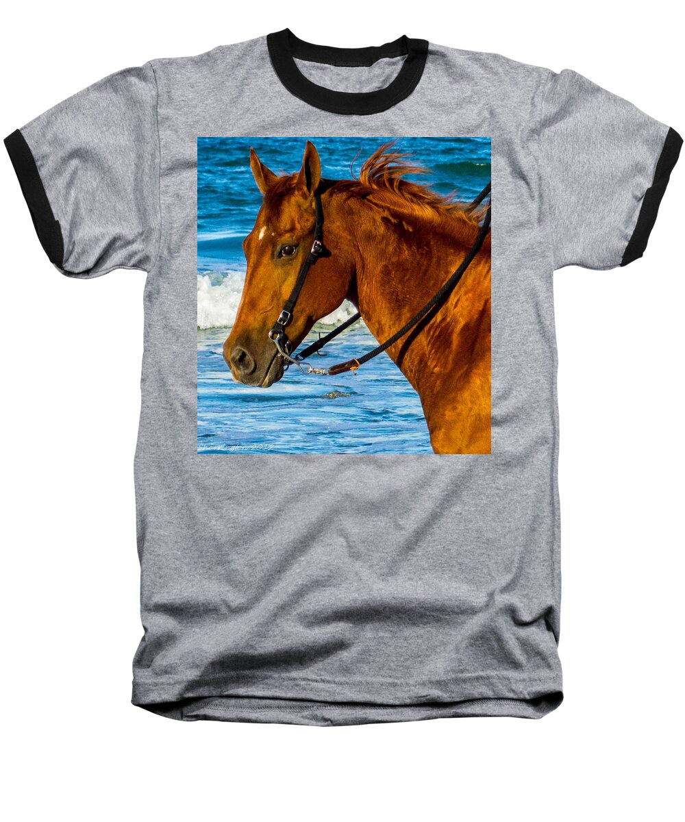 Horse Baseball T-Shirt featuring the photograph Horse Portrait by Shannon Harrington