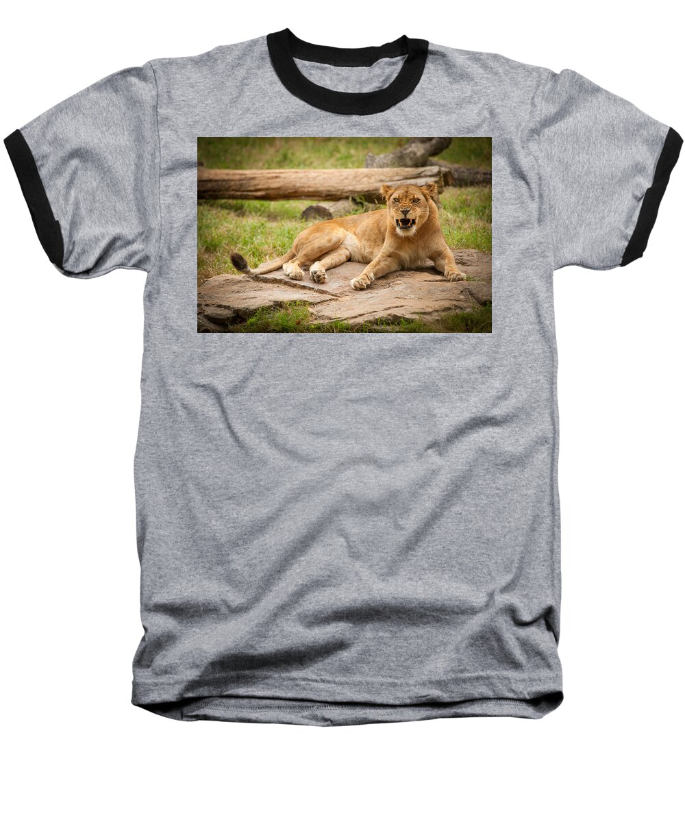 Landscape Baseball T-Shirt featuring the photograph Hungry Lion by Joye Ardyn Durham