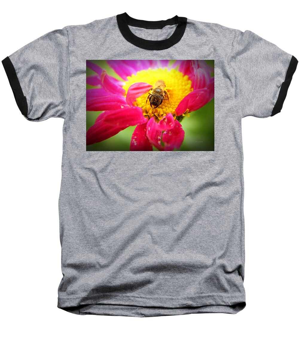 Nature Baseball T-Shirt featuring the photograph I Was Here First by Chris Berry