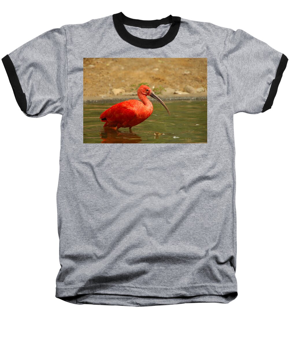 Bird Baseball T-Shirt featuring the photograph I'm So Embarrassed by Donna Blackhall
