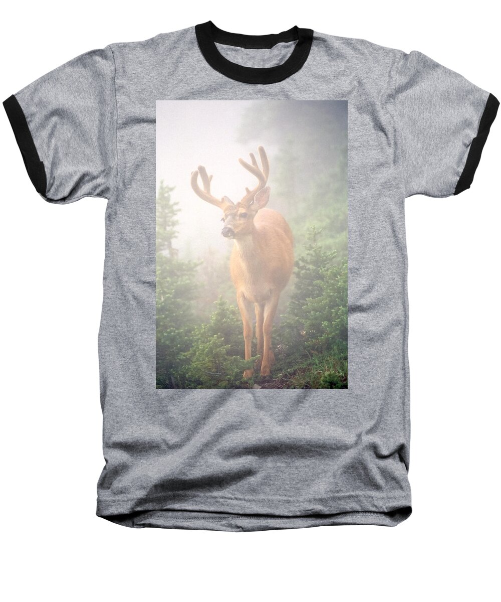 Deer Baseball T-Shirt featuring the photograph In the Mist by Tom and Pat Cory