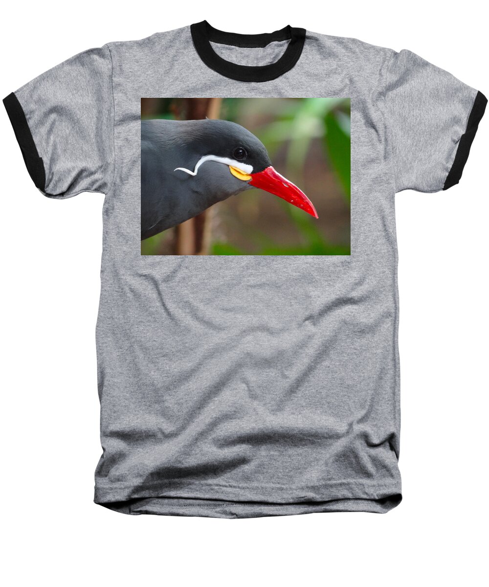 Bird Baseball T-Shirt featuring the photograph Inca Tern by Julia Wilcox