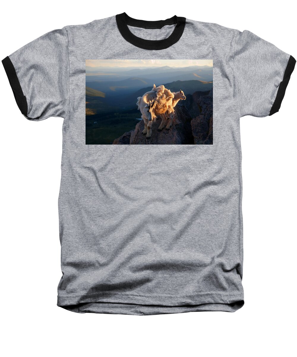 Mountain Goats; Posing; Group Photo; Baby Goat; Nature; Colorado; Crowd; Baby Goat; Mountain Goat Baby; Happy; Joy; Nature; Brothers Baseball T-Shirt featuring the photograph Two Faces West #1 by Jim Garrison