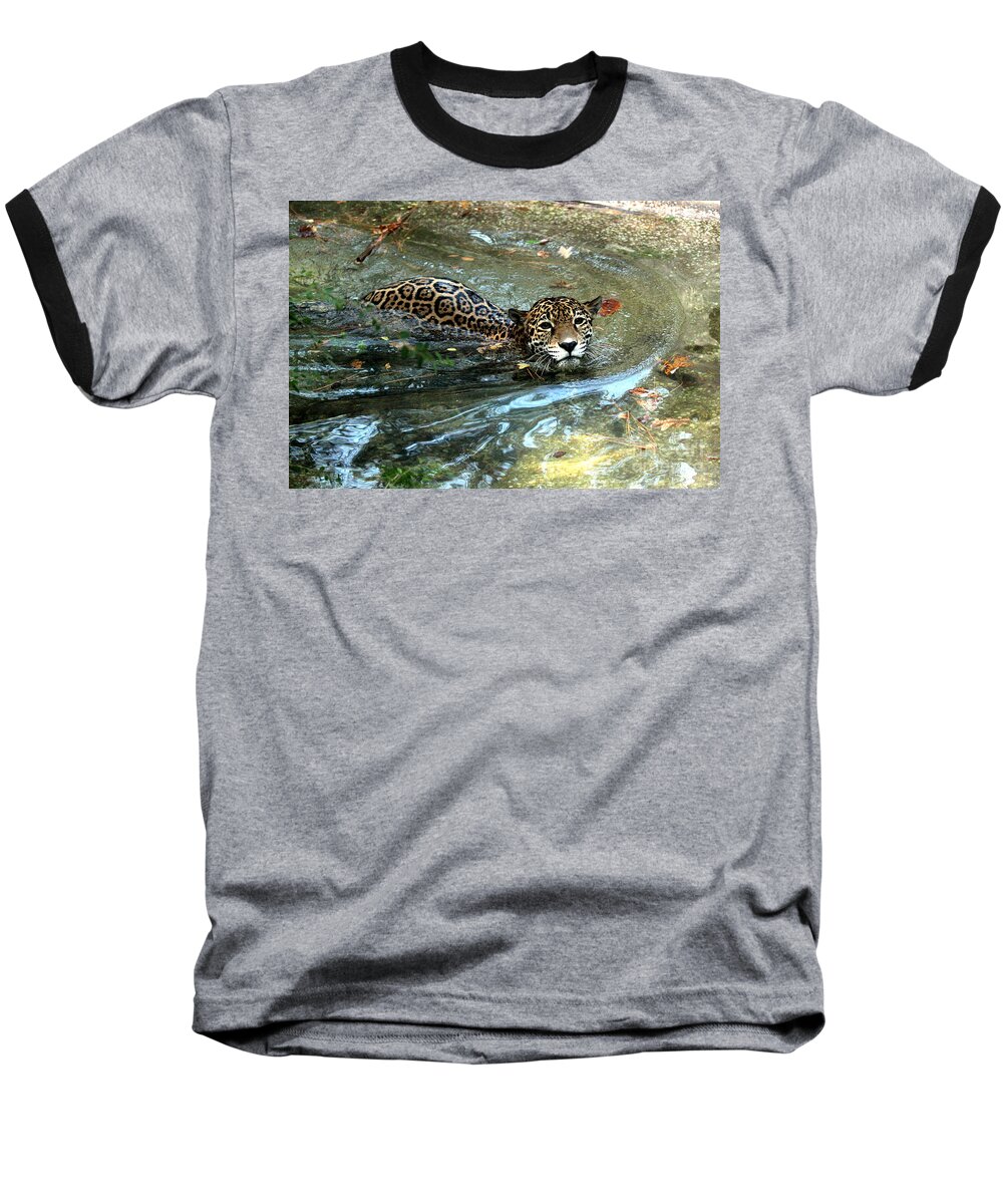 Jaguar Baseball T-Shirt featuring the photograph Jaguar In For A Swim by Kathy White