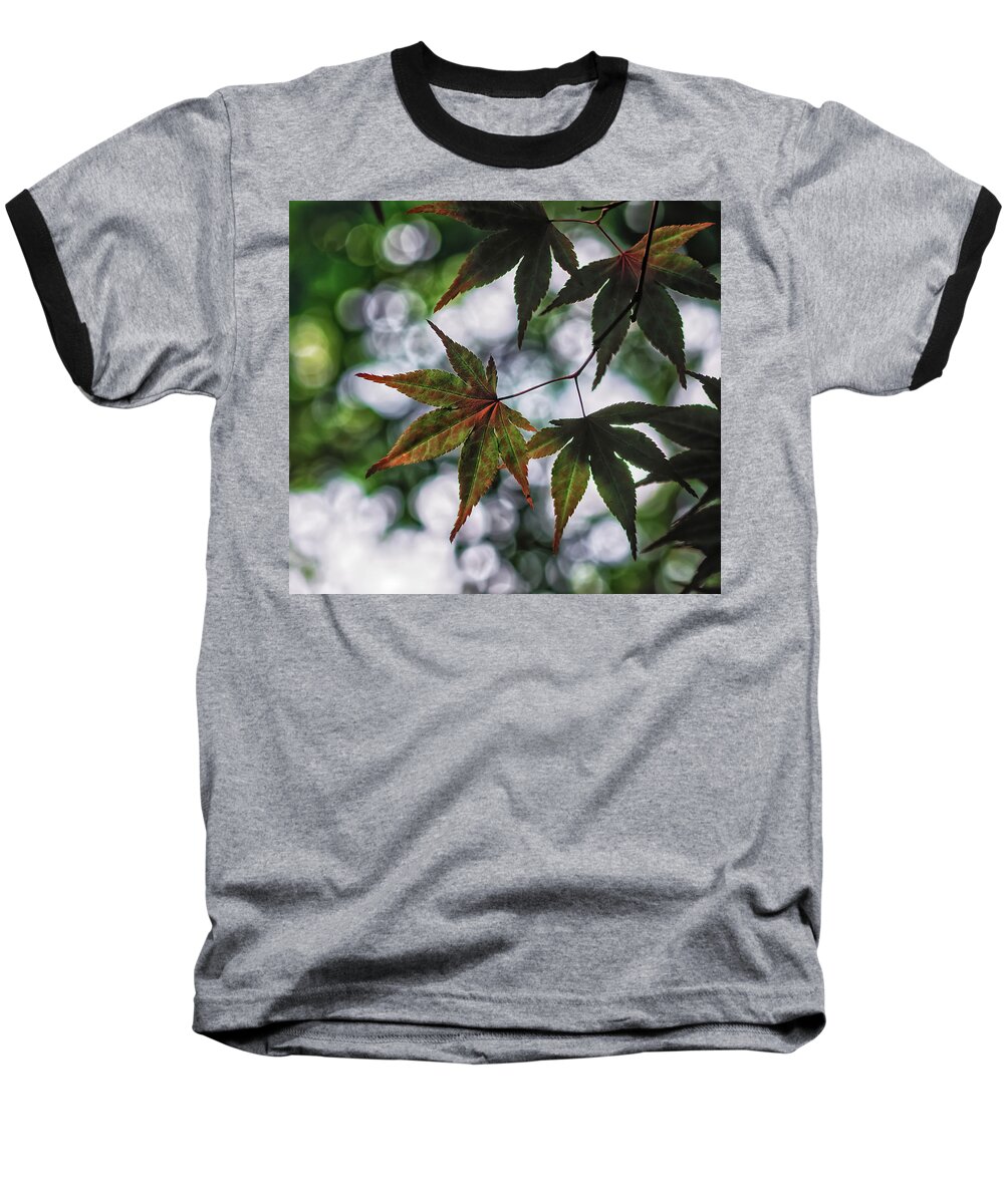 Da*55 1.4 Baseball T-Shirt featuring the photograph Japanese Maple by Lori Coleman