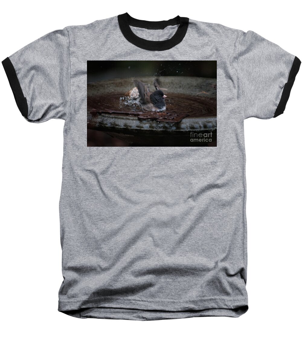 Animals Baseball T-Shirt featuring the digital art Junco in the Birdbath by Carol Ailles