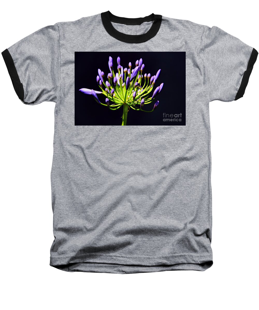 Lily Of The Nile Baseball T-Shirt featuring the photograph Lily of the Nile by Mariola Bitner