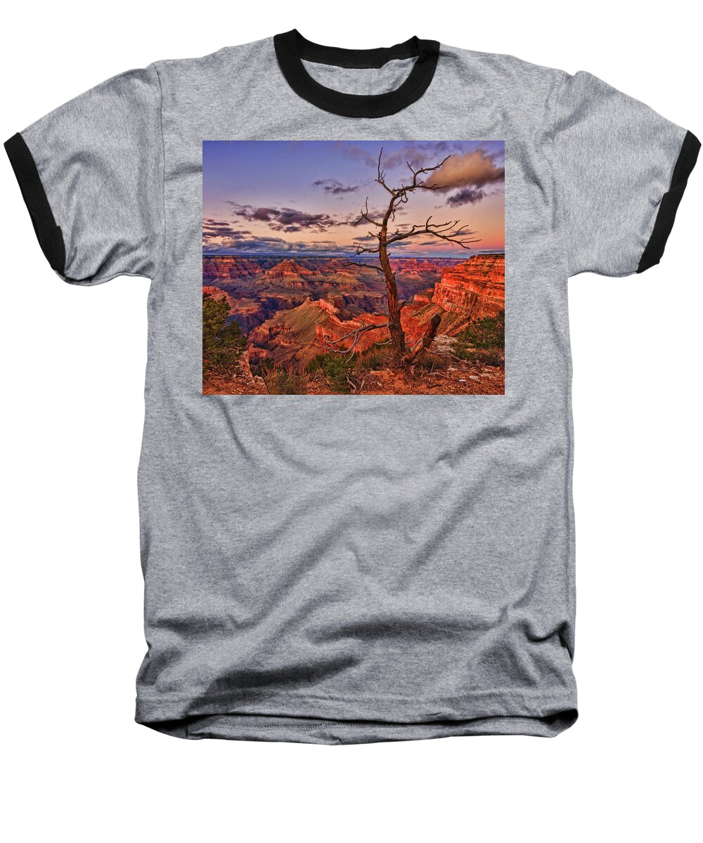 Grand Canyon Baseball T-Shirt featuring the photograph Lone Observer by Beth Sargent