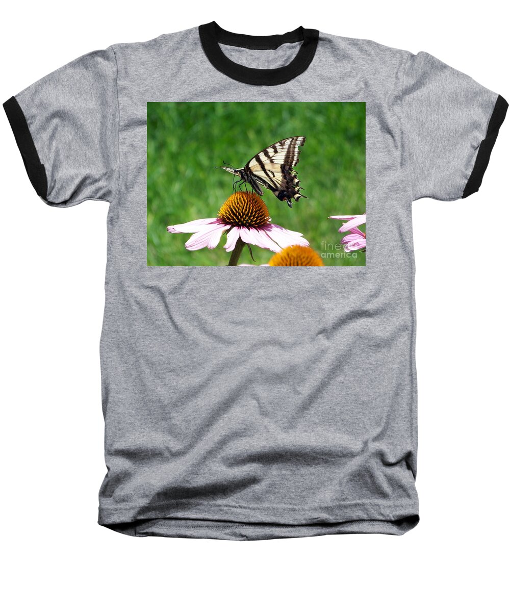 Butterflies Baseball T-Shirt featuring the photograph Lunch Time by Dorrene BrownButterfield