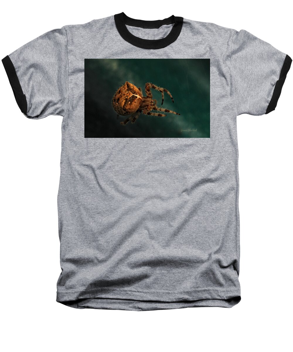 Spider Baseball T-Shirt featuring the photograph Lying In Wait by Donna Blackhall